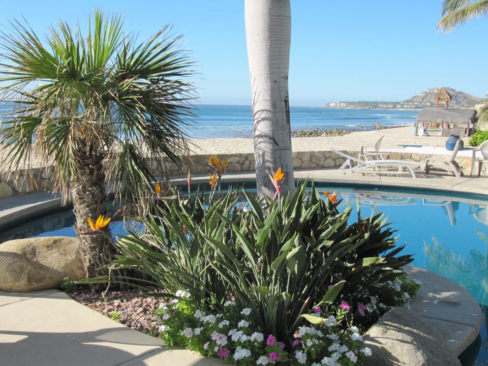 Heated pool