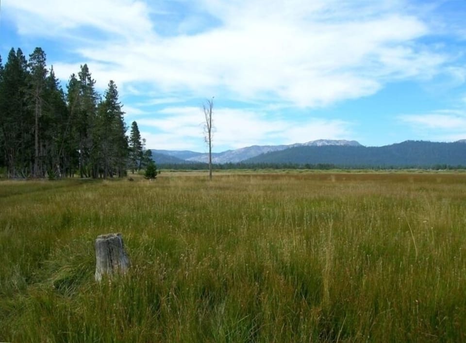 Ride Supplied Bikes or Walk to this Beautiful Meadow with Beach Access.