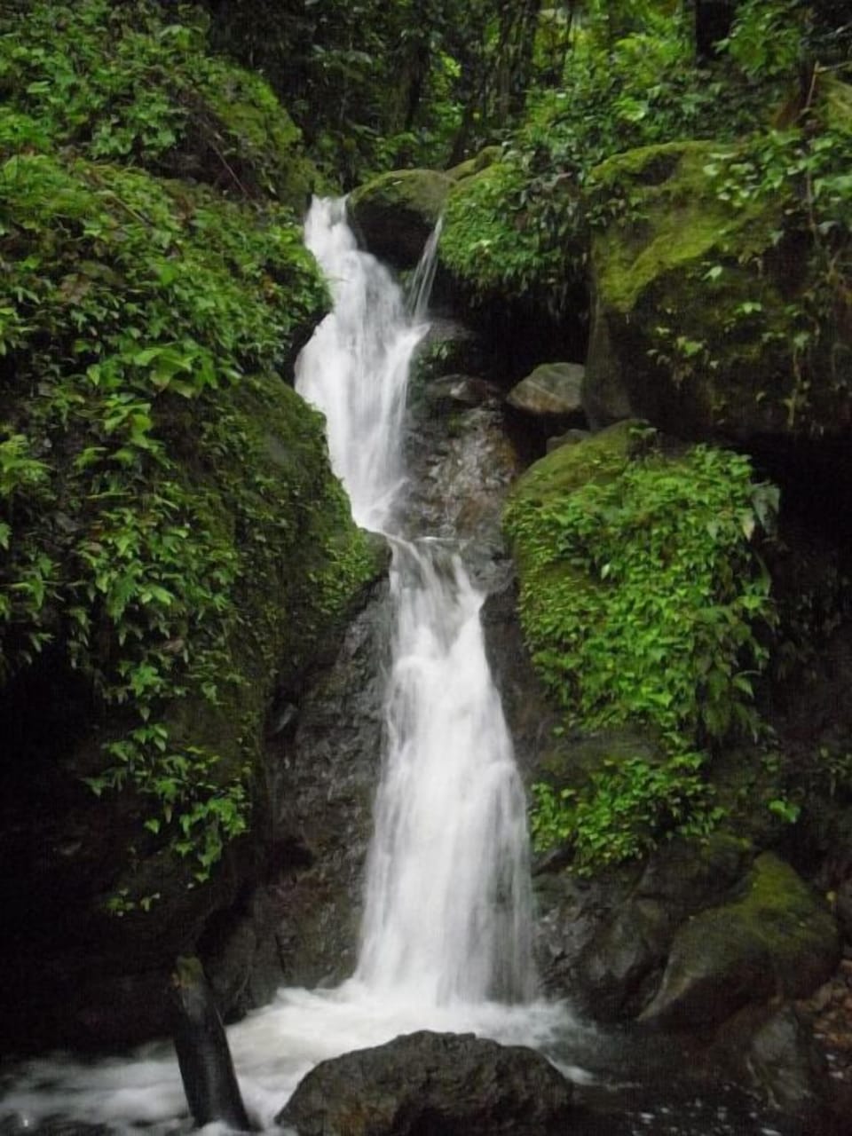 On one of the hikes