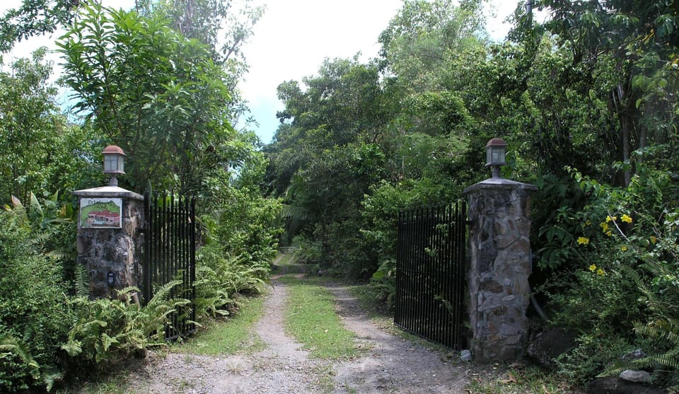 600ft driveway