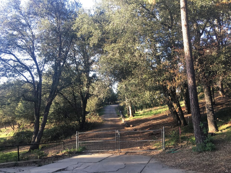This is the main gate to get into our driveway and what keeps your dogs in. 