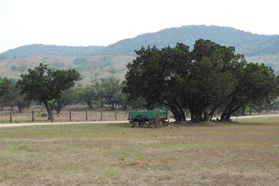 The grounds include a fire pit with firewood, a chimenea for toasting snacks, and a charcoal grill is also available for you to use.