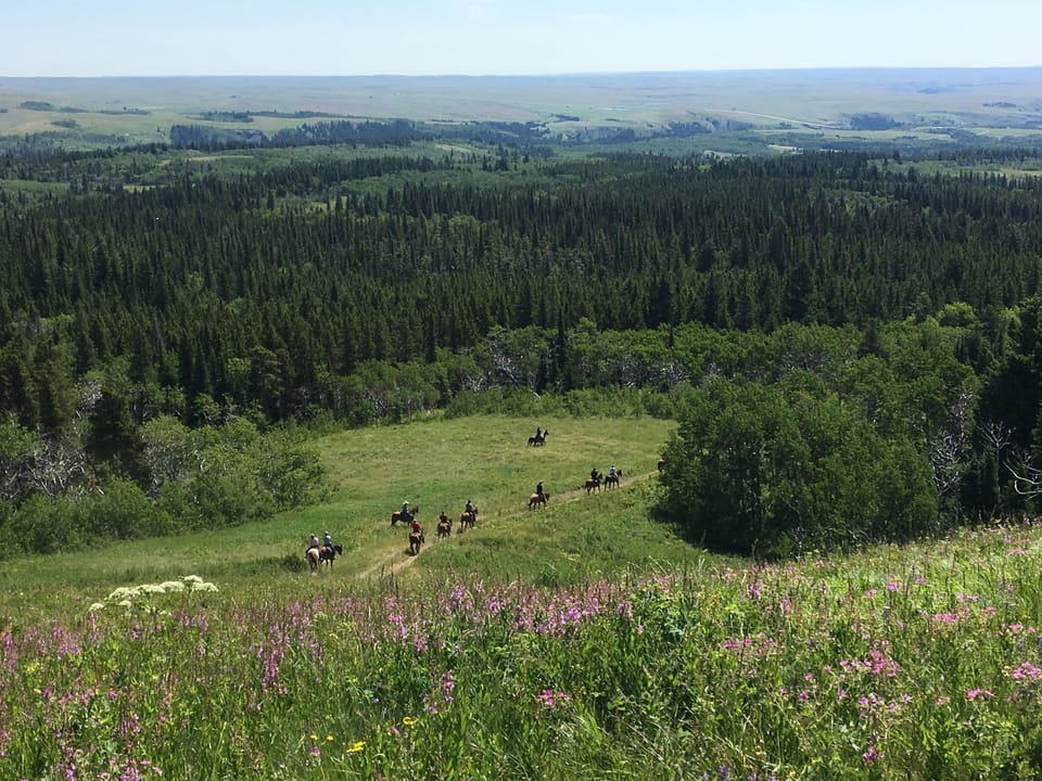 Guided horse rides in East Glacier Park