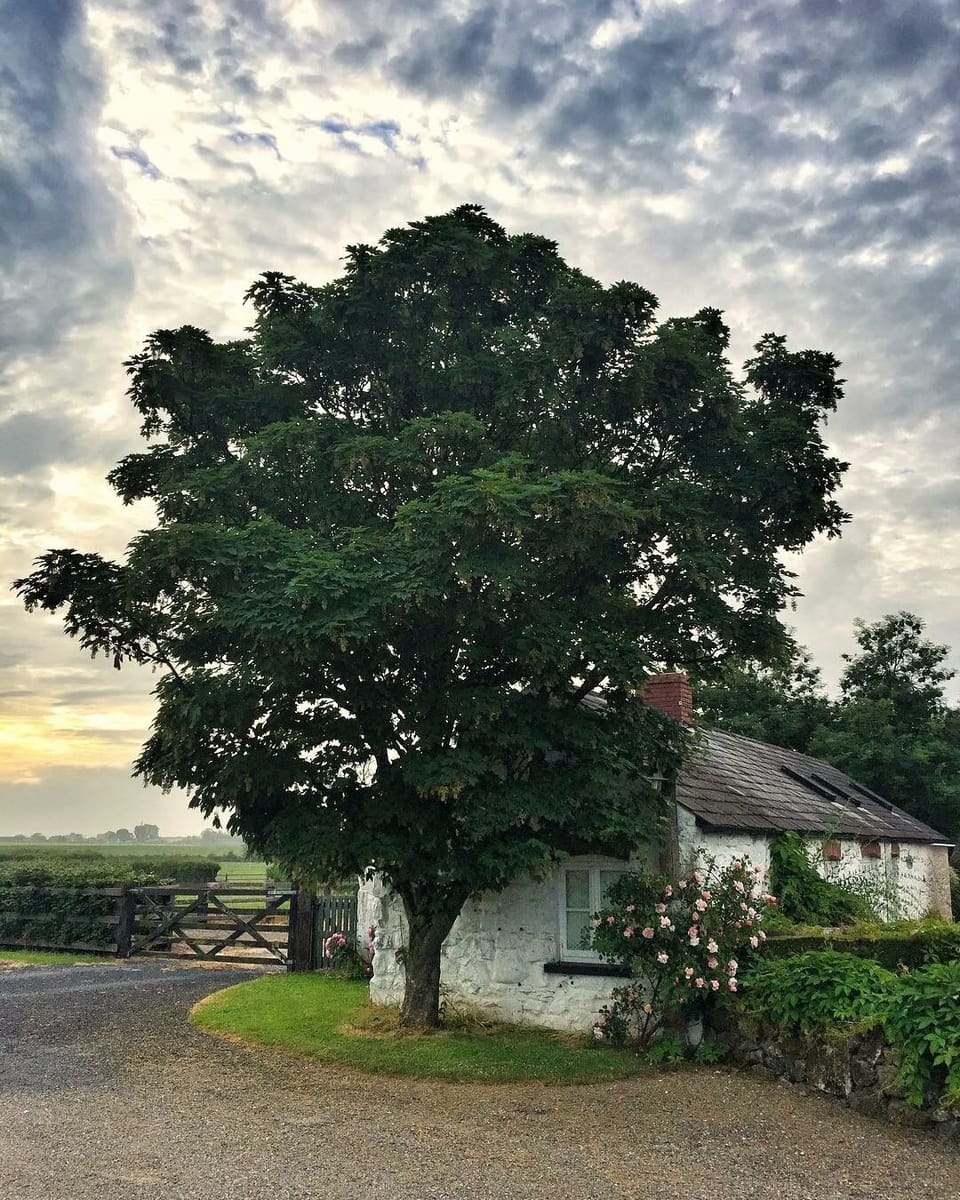 The Stone Barn Cottage