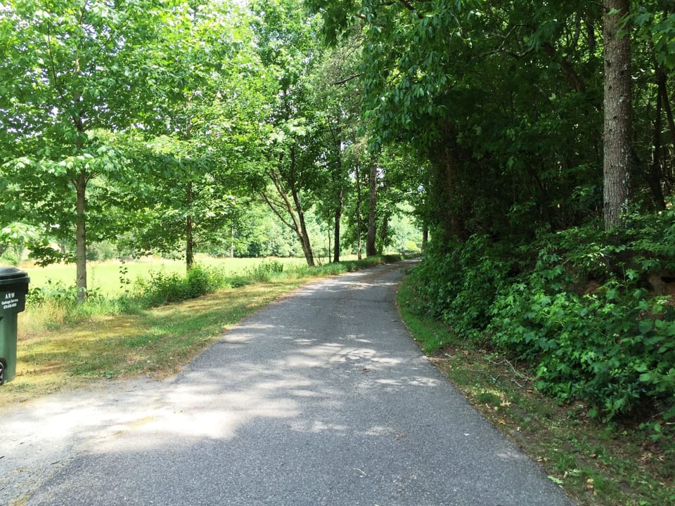View to left of Driveway toward main road