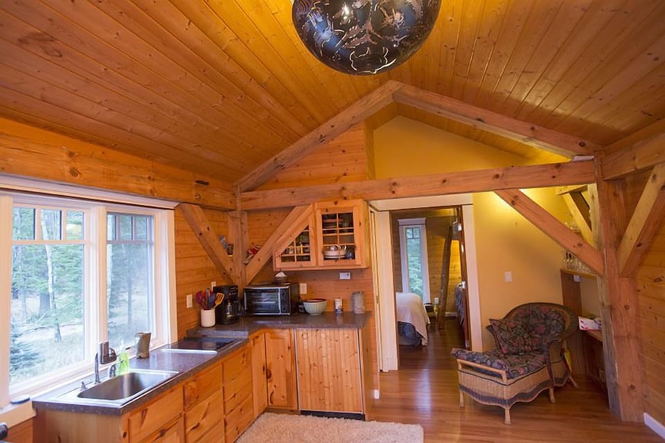 Living area and kitchenette in Guest Cabin.