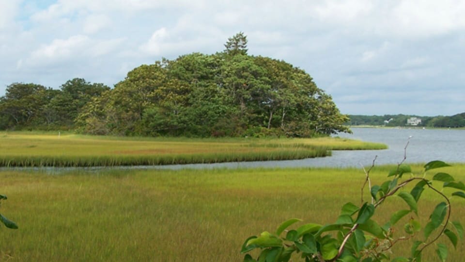 Mashpee Wildlife Refuge a mile or so from house. 	
goo.gl/X80moI