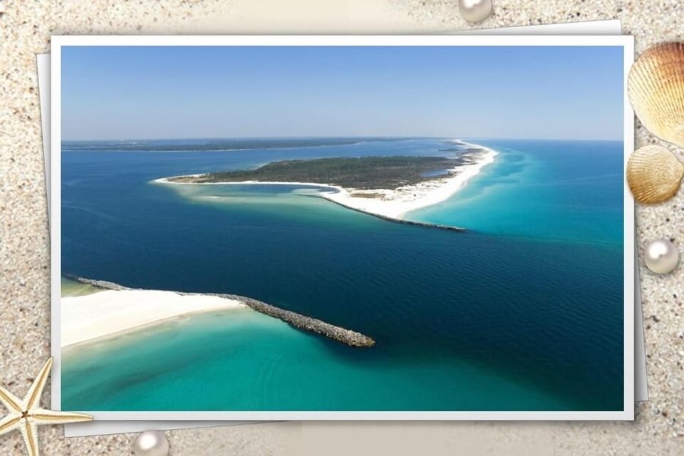 Visit Shell Island. Pristine beauty, beachcombing, shelling, dolphin tours!
