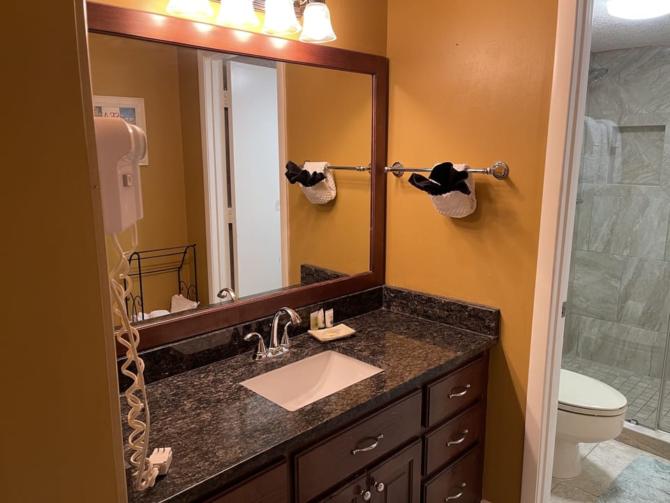 Master bathroom with granite vanity.