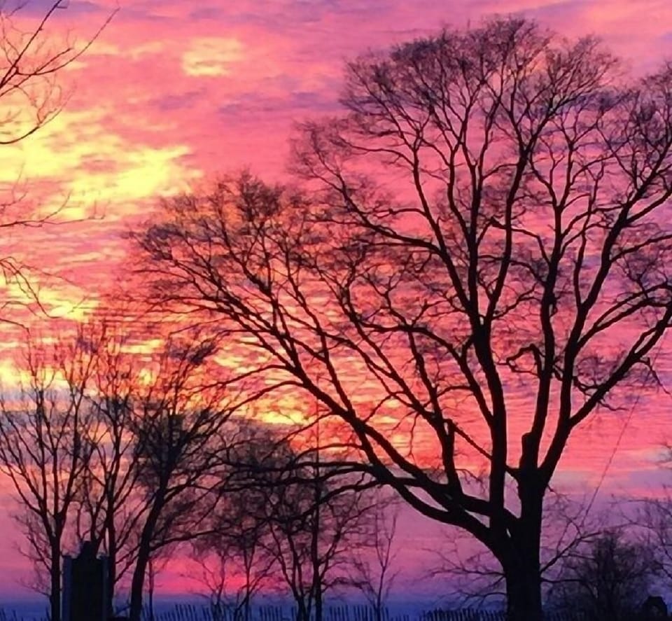 Late winter sunset out front