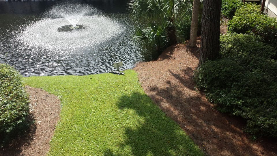 Relaxing view from deck