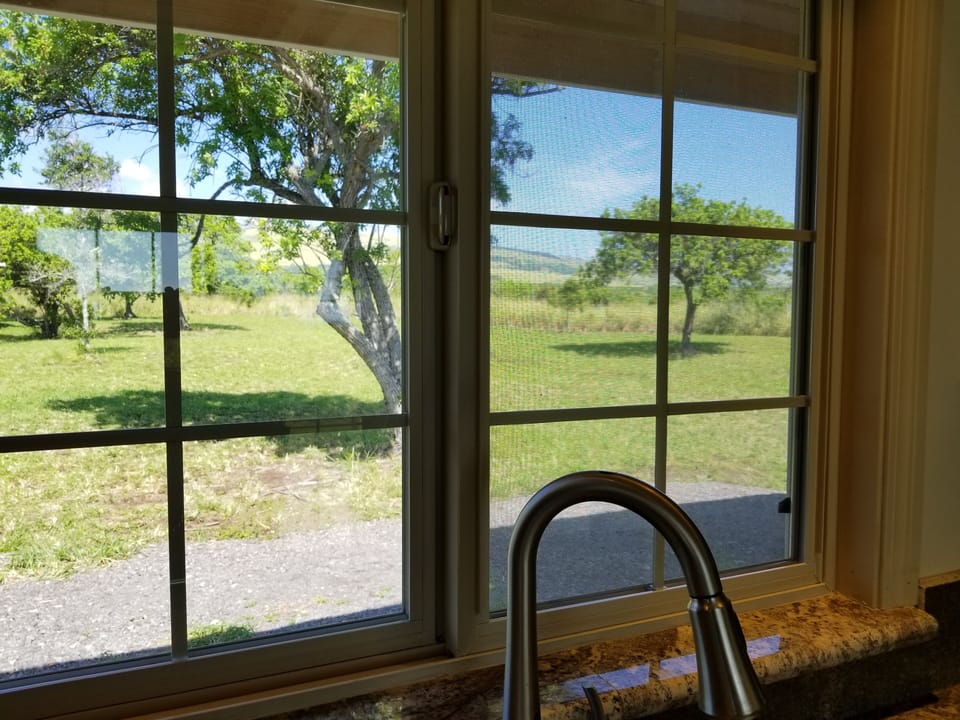 kitchen window view