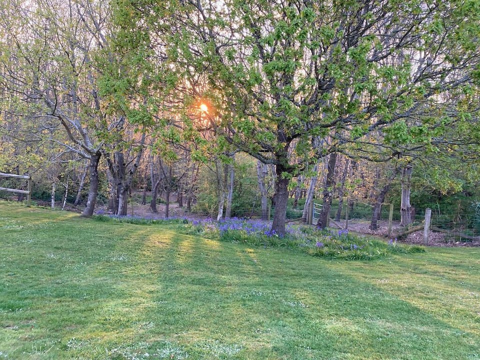 Direct access to the Bluebell Woods
