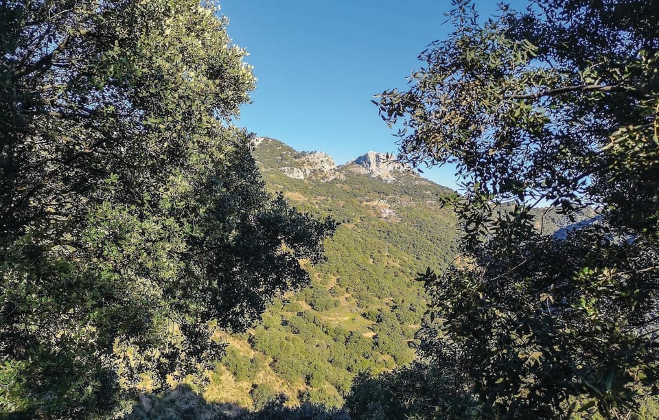area