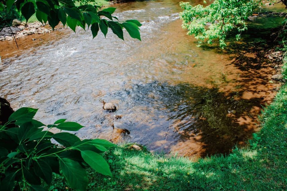 creek