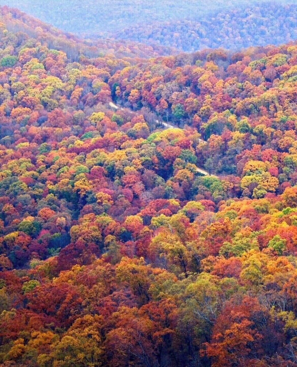 Area fall foliage