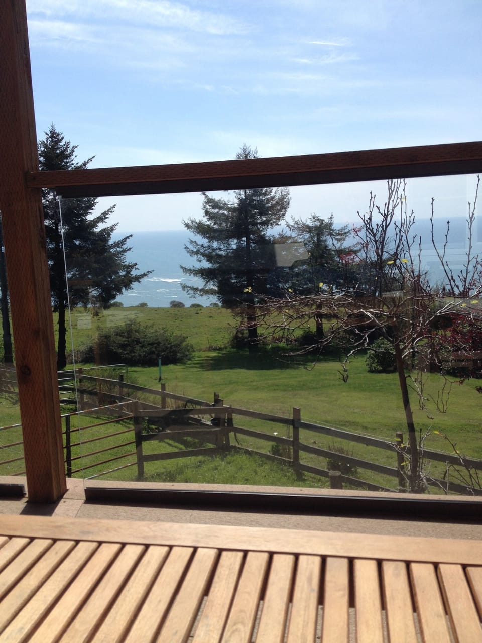 View from cottage