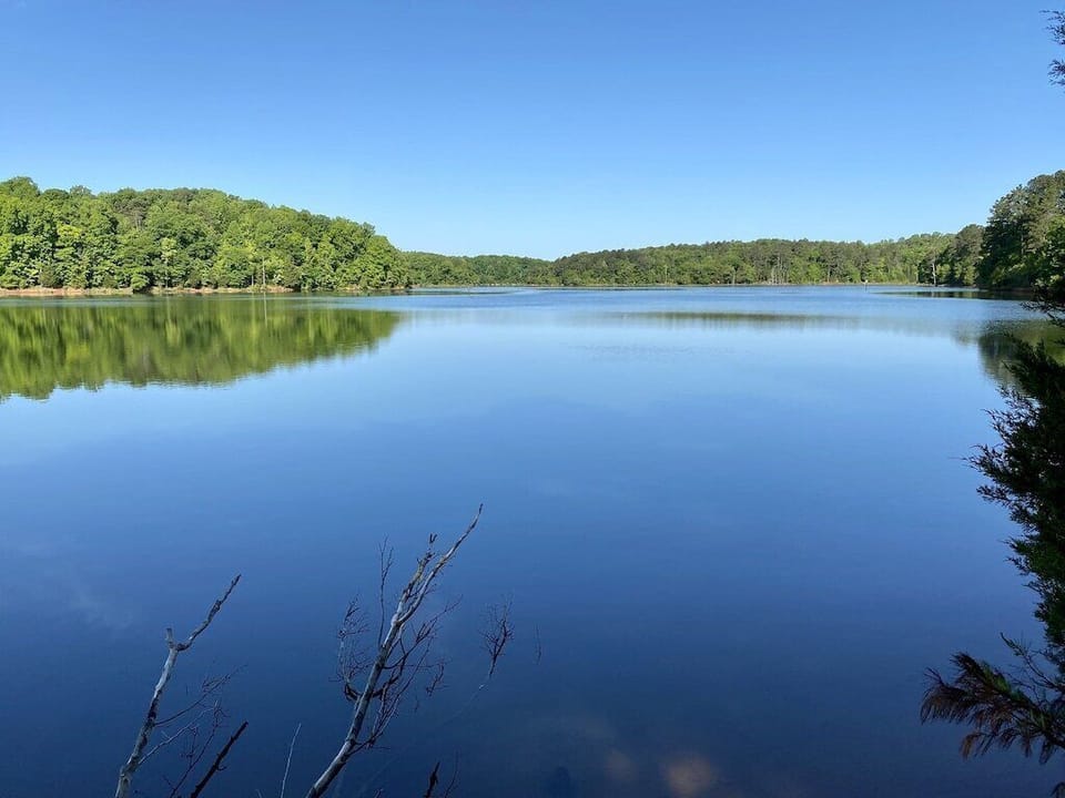 Surrounded by lake access points