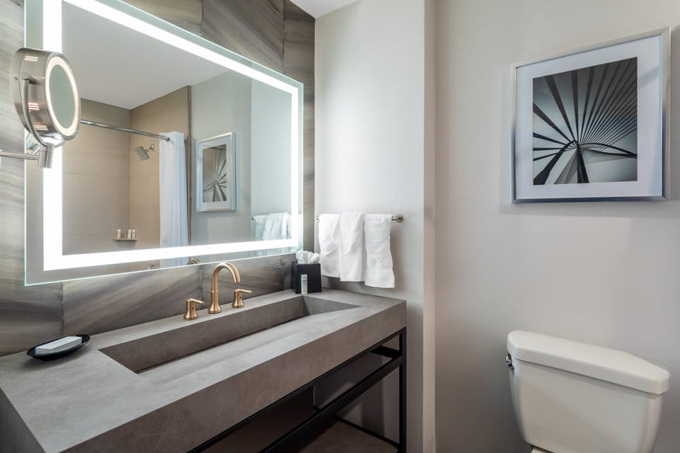 Combined shower/tub, free toiletries, hair dryer, towels