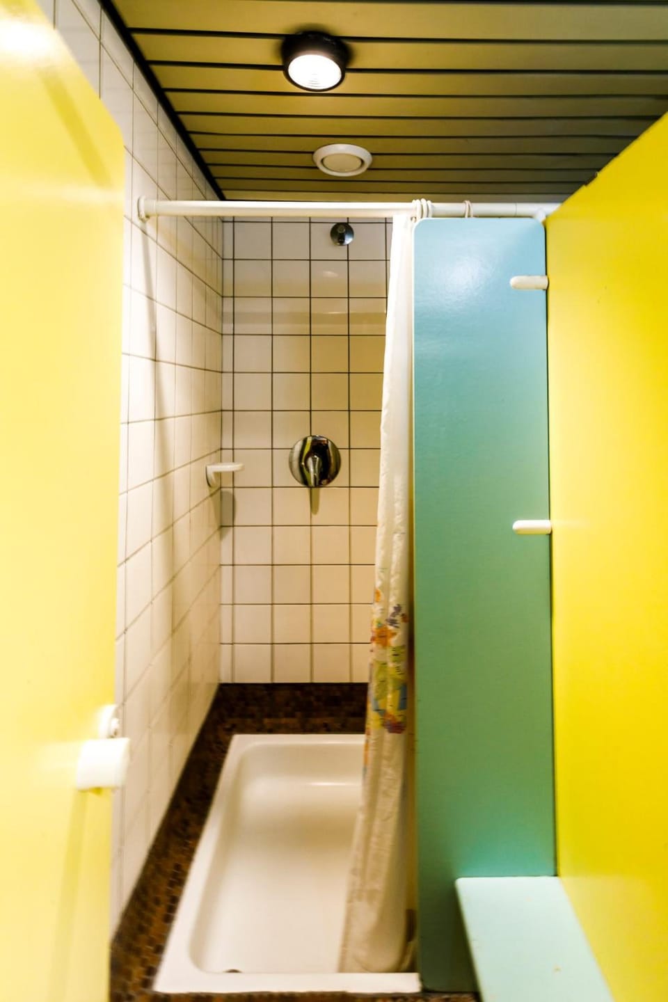 Shower, hair dryer