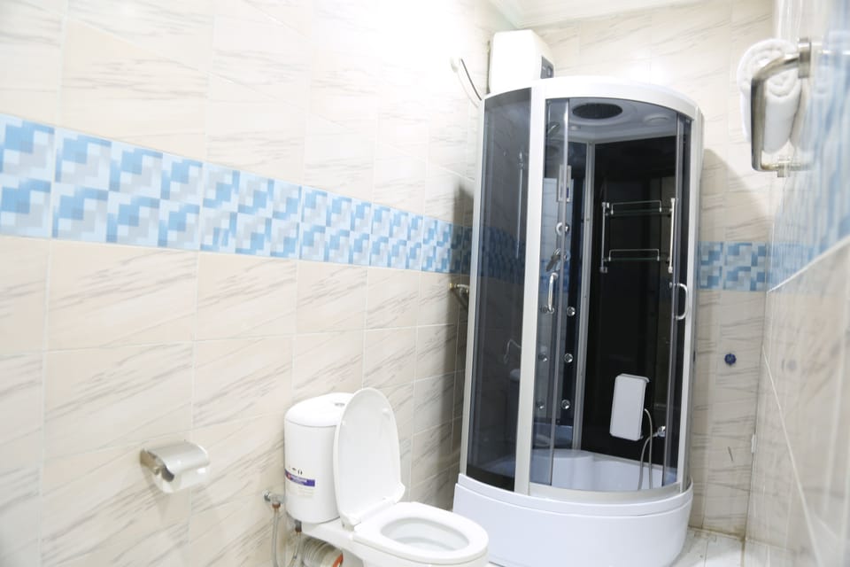 Free toiletries, hair dryer, towels