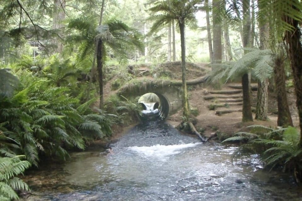 Puarenga Stream/Waipa Mountain bike track