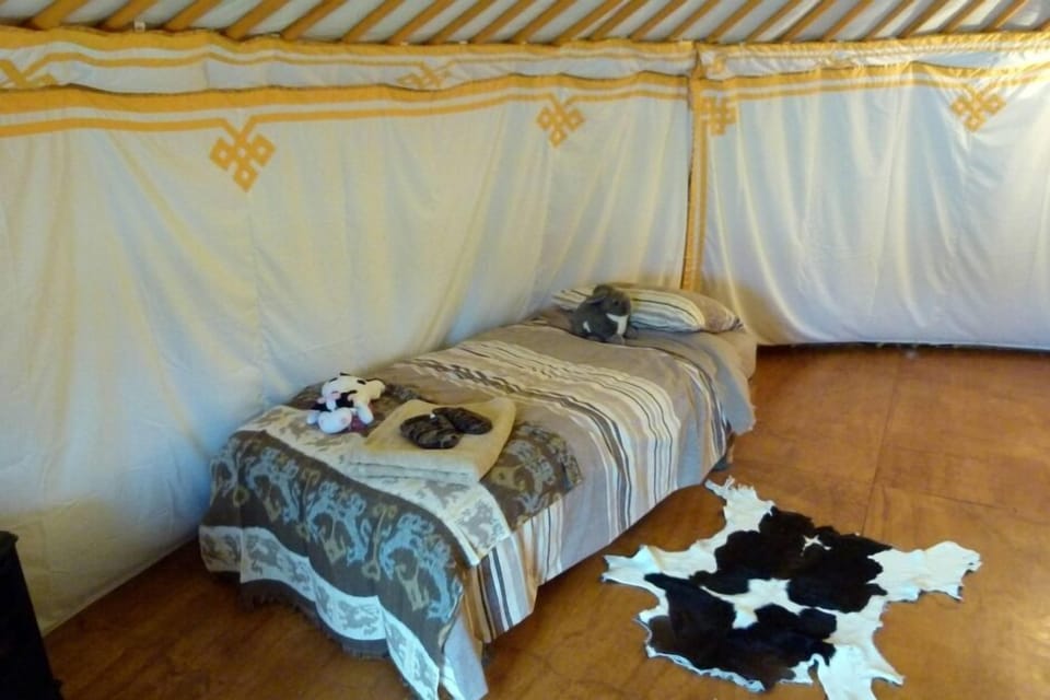 Yurt inside - single bed