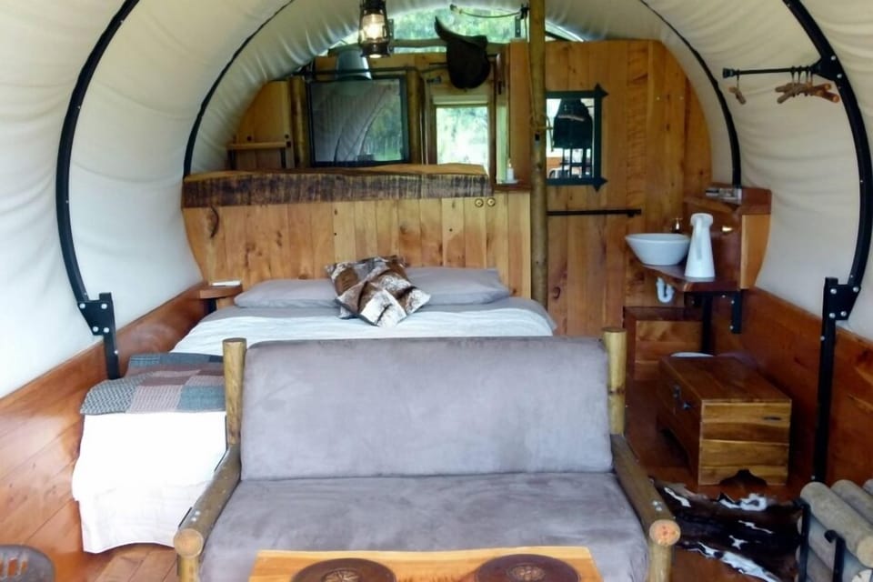 Gorgeous macrocarpa interior