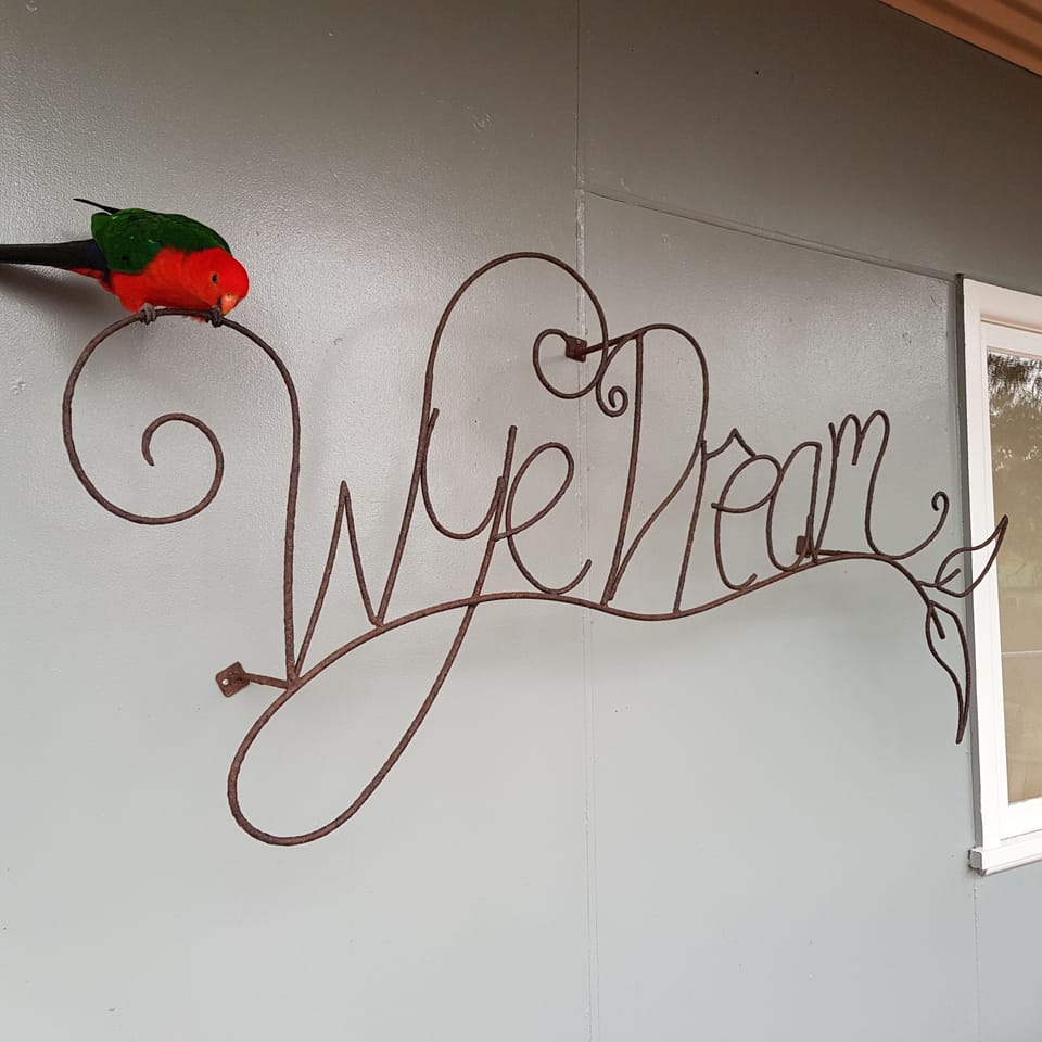 Gorgeous King Parrot saying hello!
