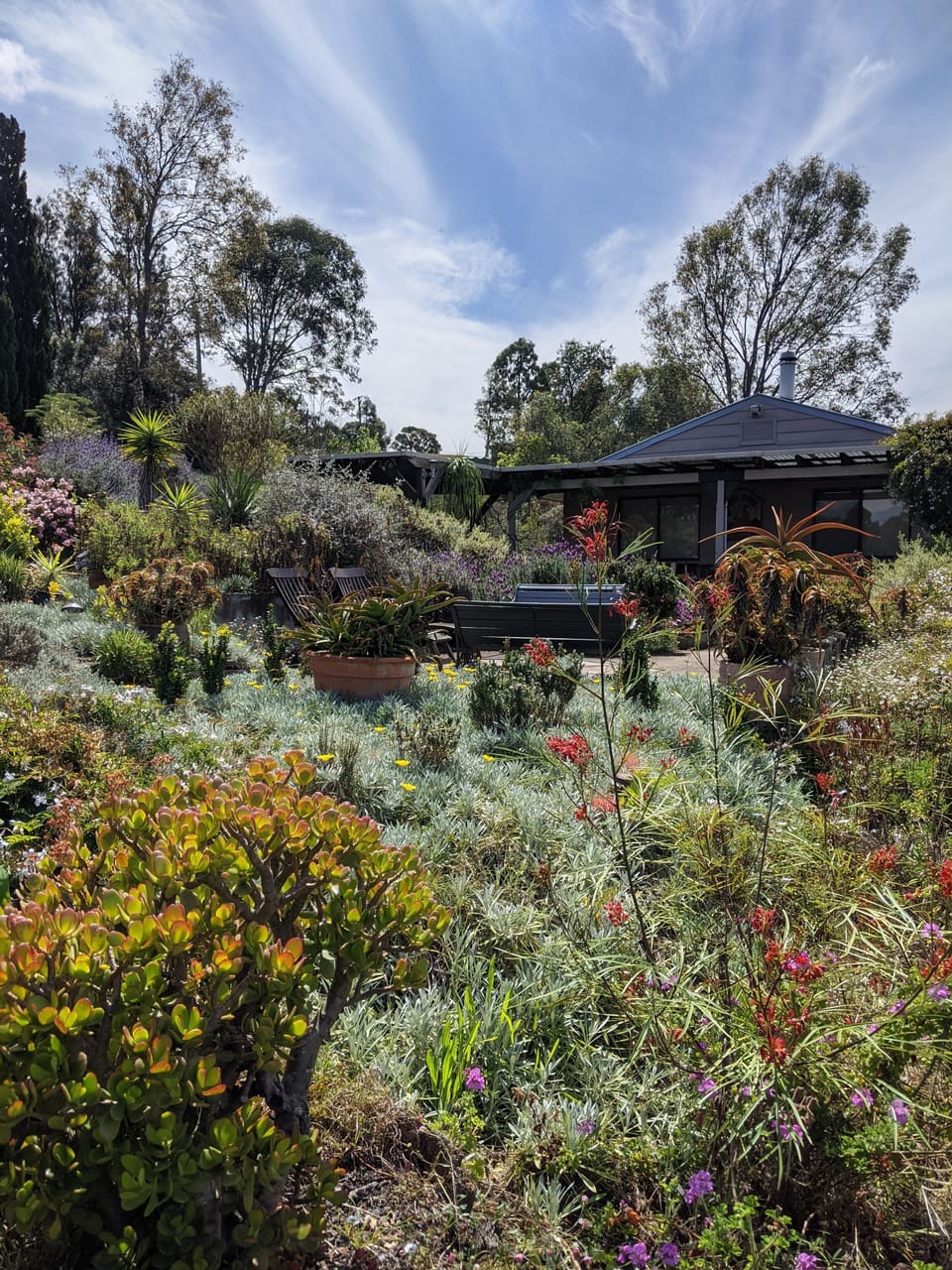 lovely tended gardens surround the house