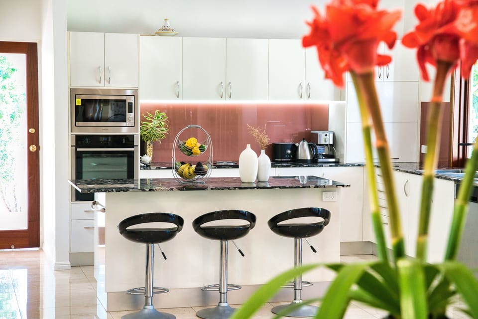 beautiful kitchen with European appliences