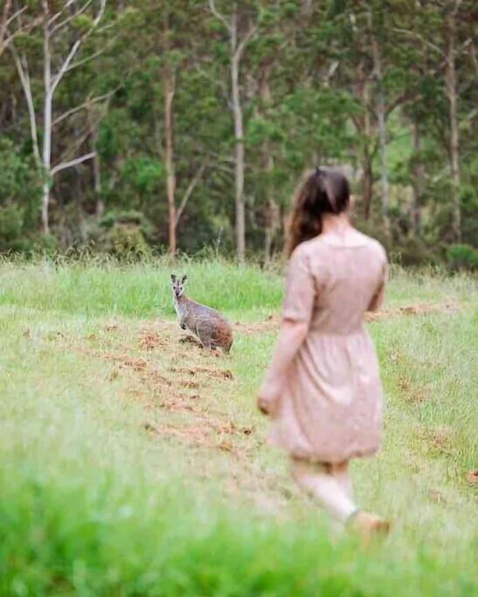 Nest 1 · Secluded, Romantic Escape @ Bluegums
