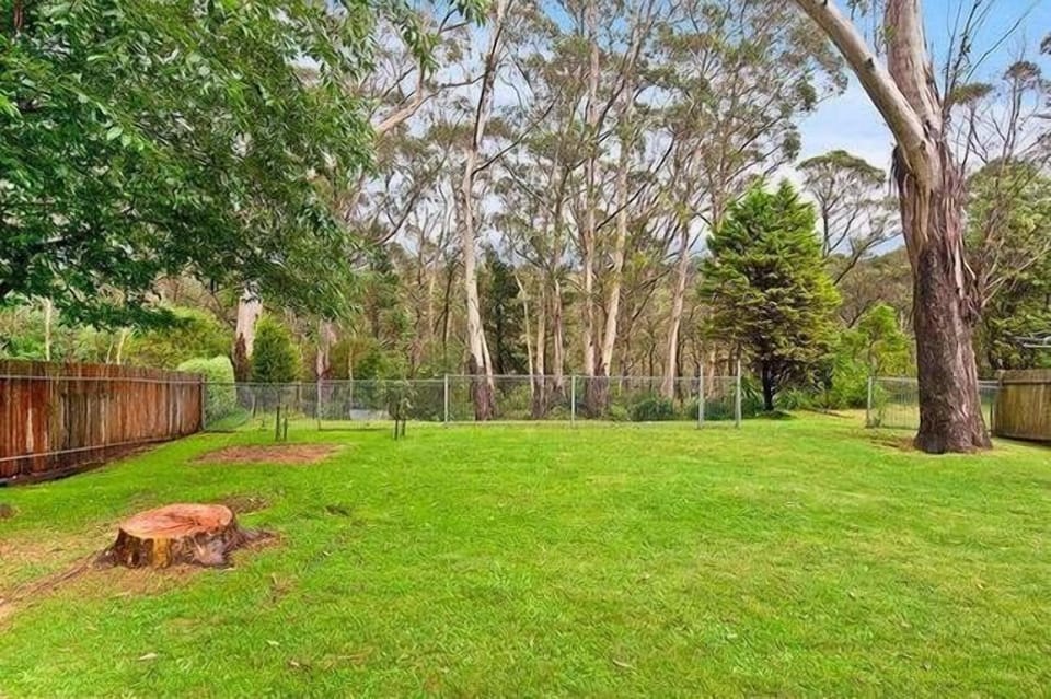 Cricket anyone?
Huge back yard