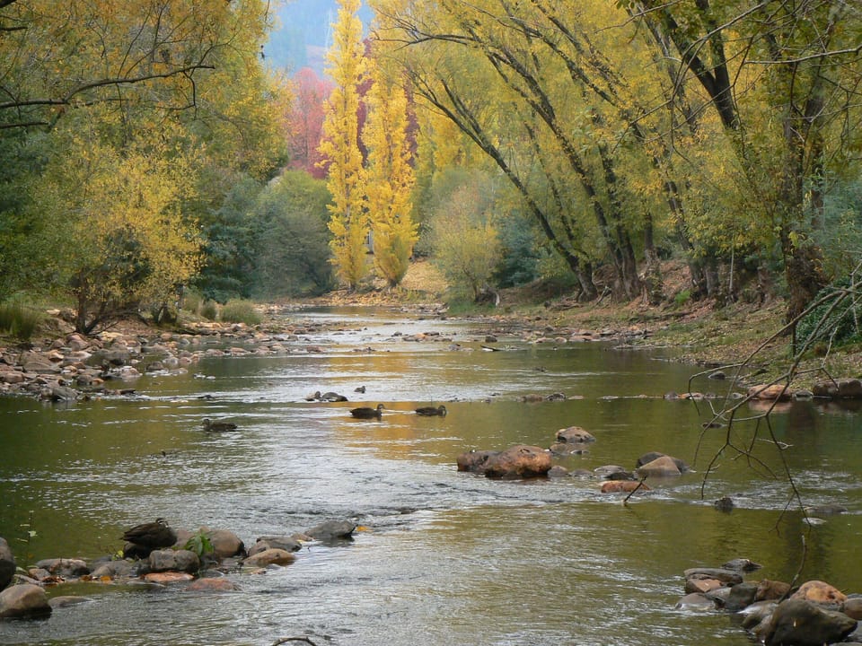 The Ovens River and its miles of walking tracks are 200 meters away