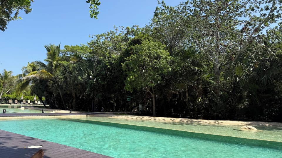 Your perfect spot to cool off, relax & enjoy the day. 💦☀️✨