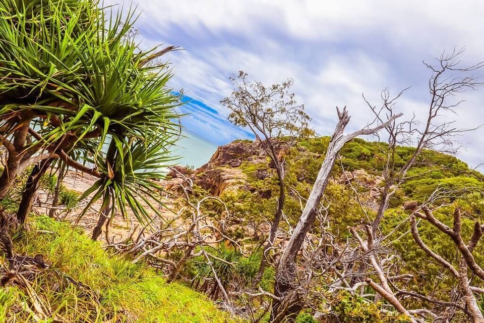 1770 Headland