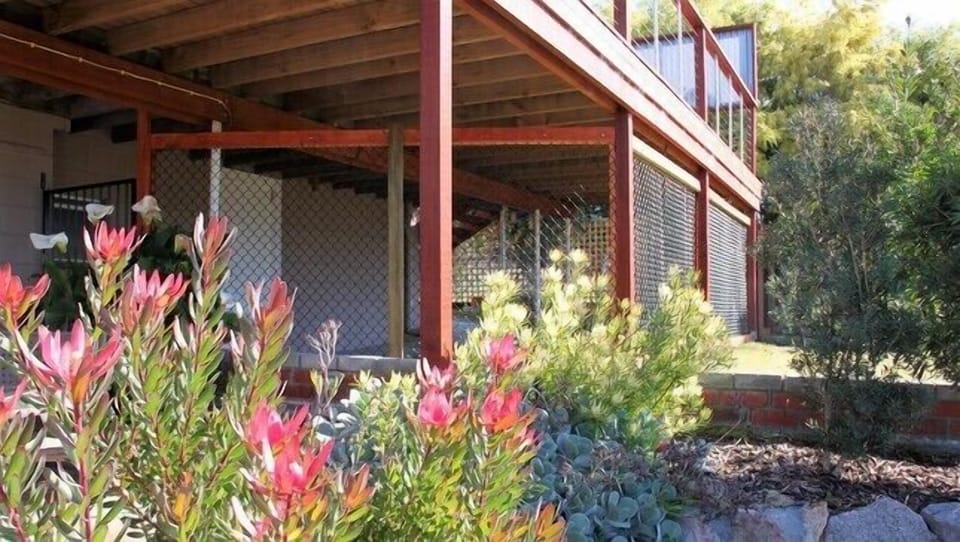 Really safe pet friendly area