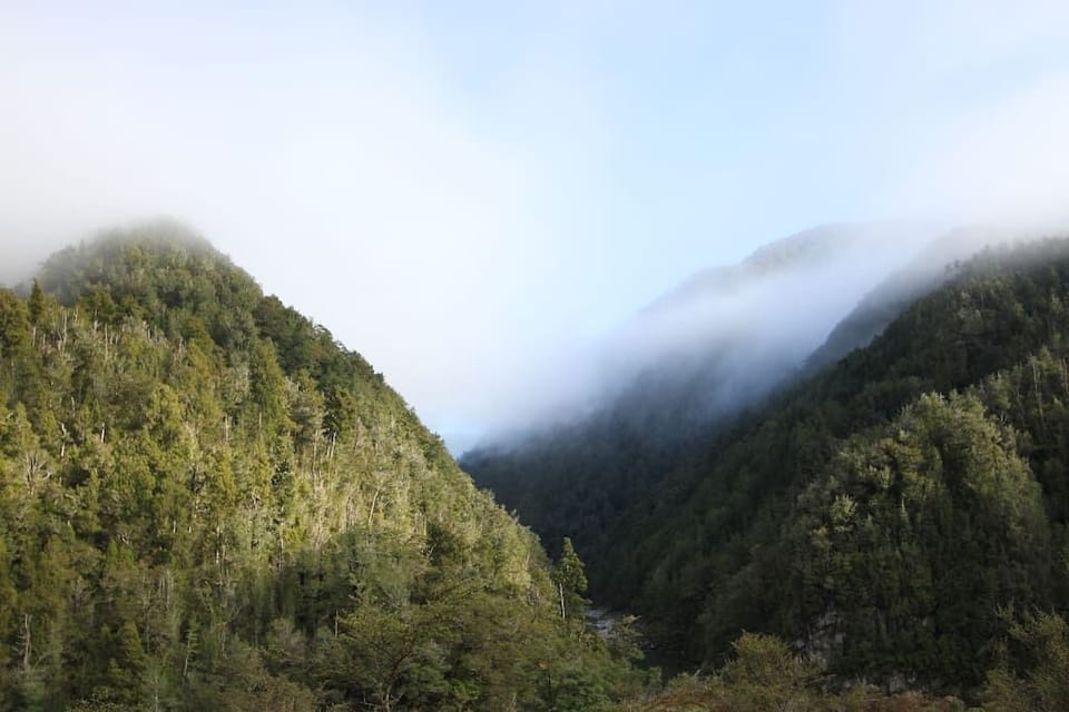Mokihinui Gorge - Old Ghost Road
