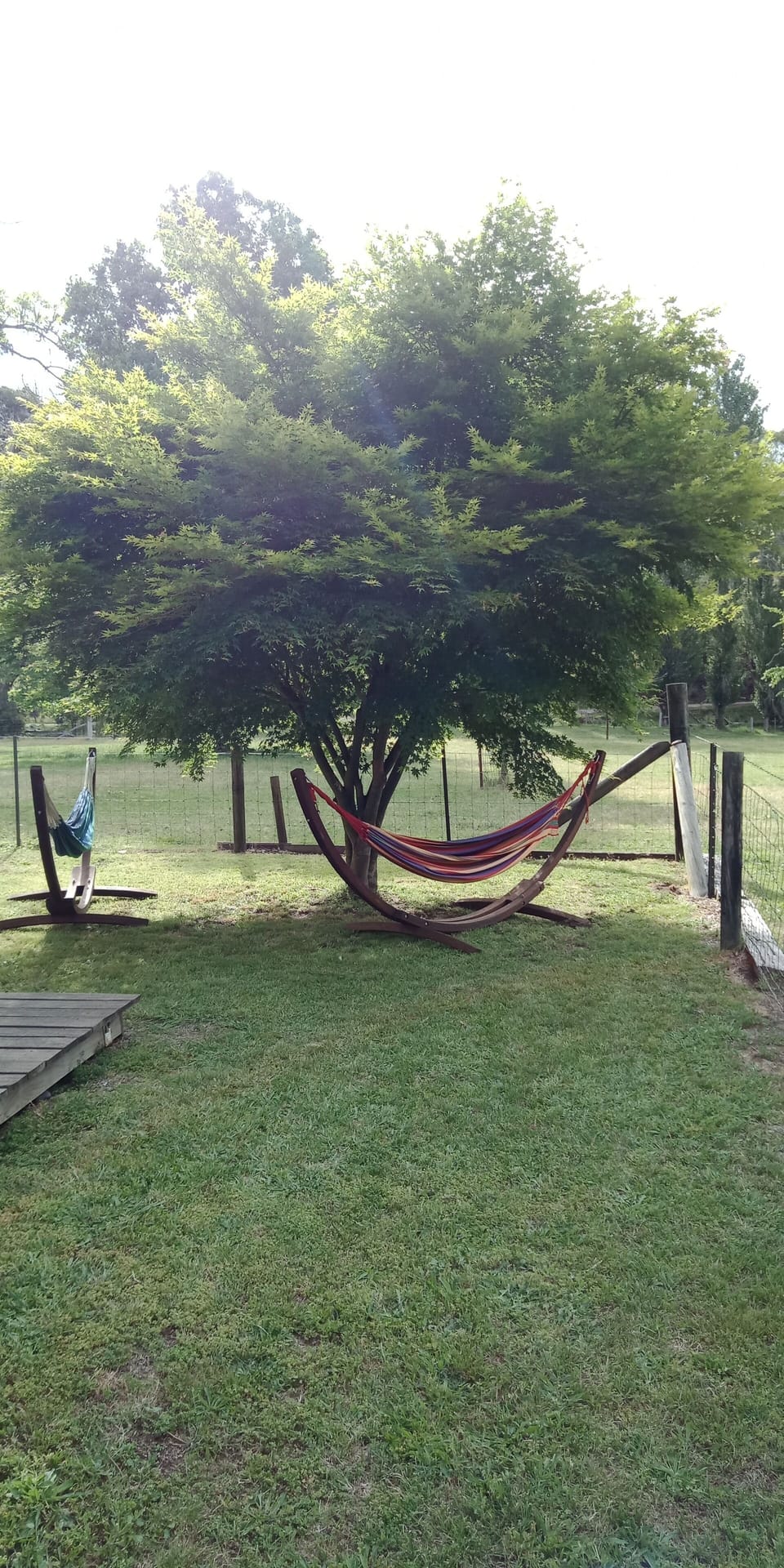 Hammocks for lazy days.