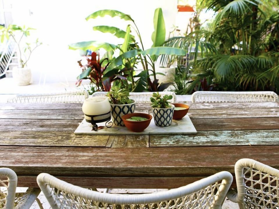 rear tropical garden 