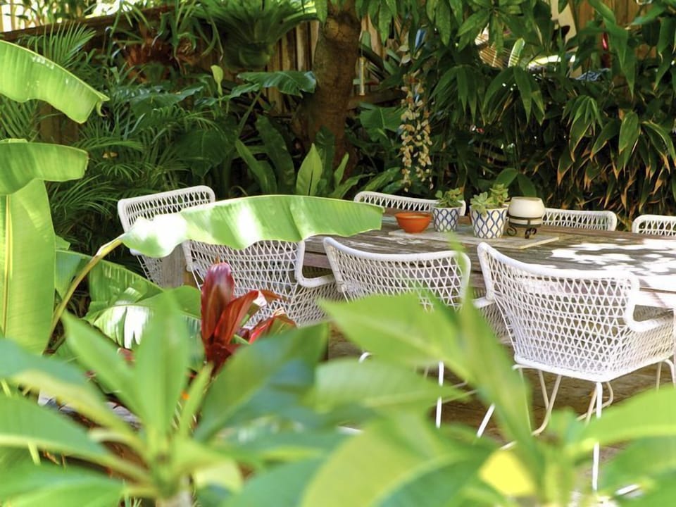 rear tropical garden 