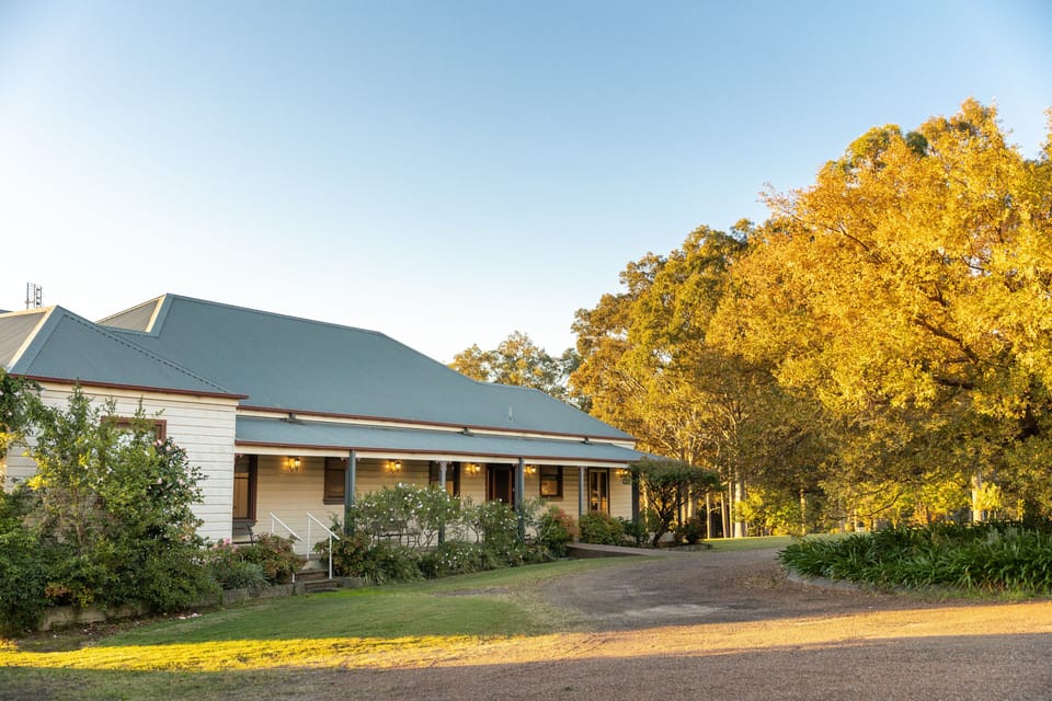 Circular gravel driveway with huge Chinese Elm tree & agapanthus
