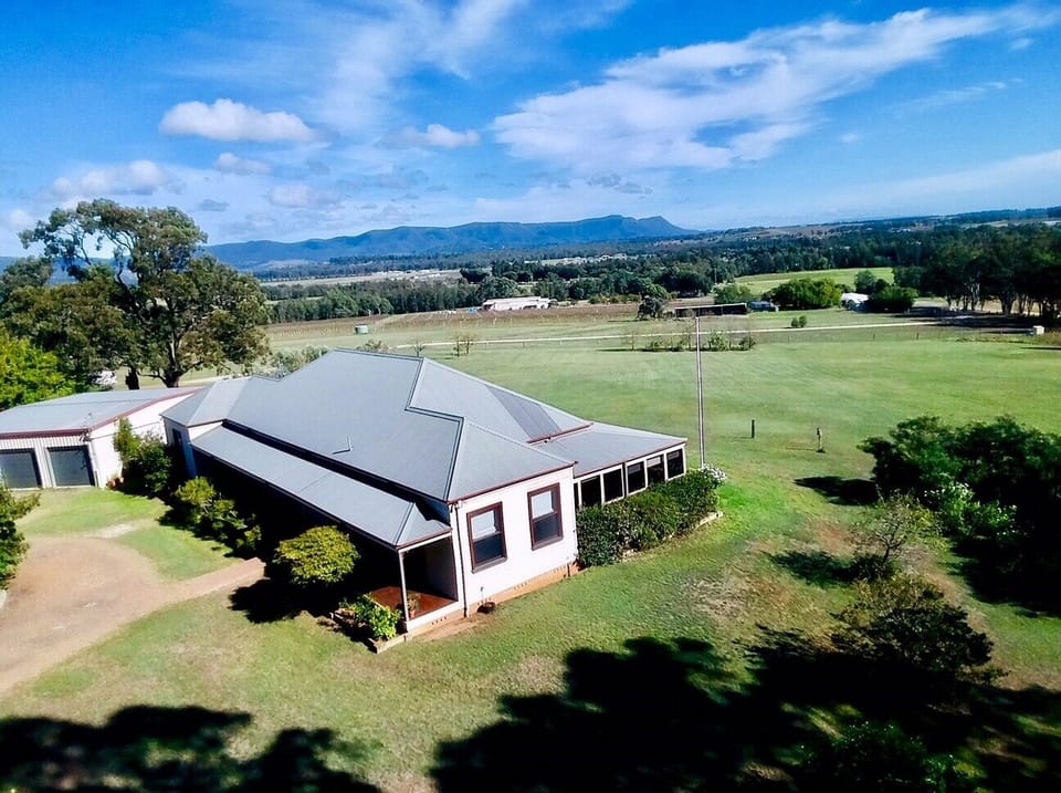 Callie Rose with 5 acres of land to run around