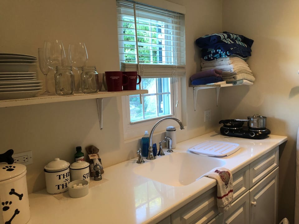 Kitchenette with two burner stove top, microwave and small appliances

