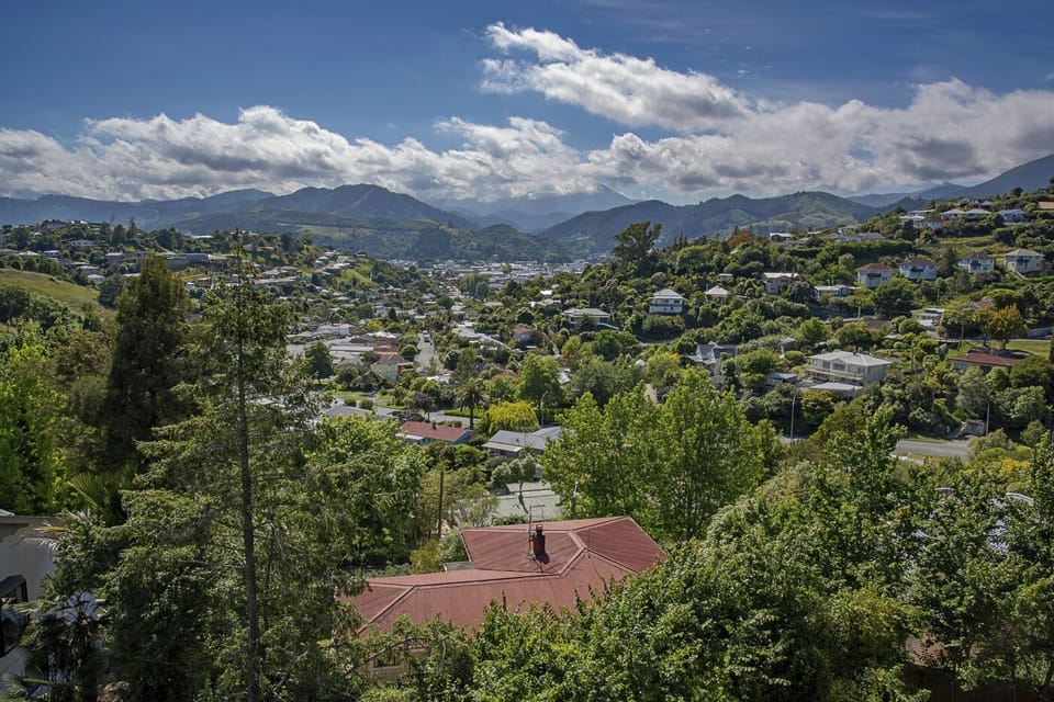 Views above Nelson City