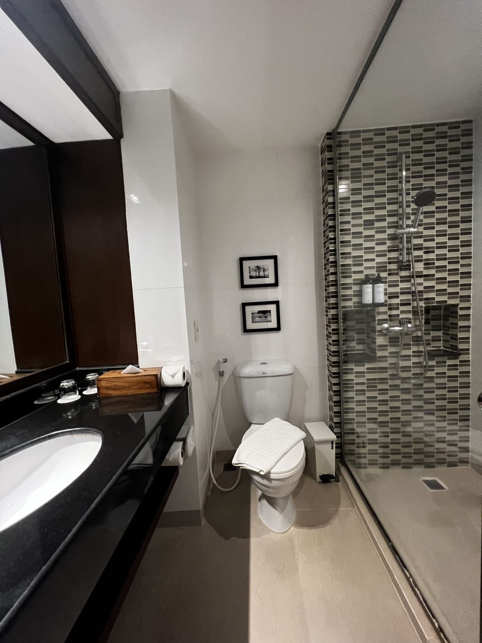 Shower, eco-friendly toiletries, hair dryer, towels