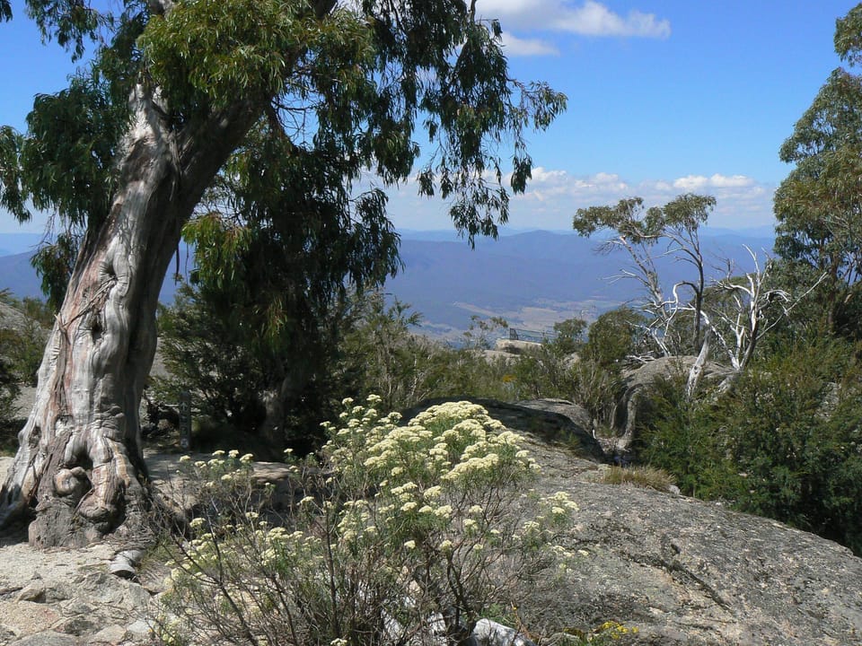 Mt Buffalo in summer.  Fresh air, walking tracks and magnificent views.