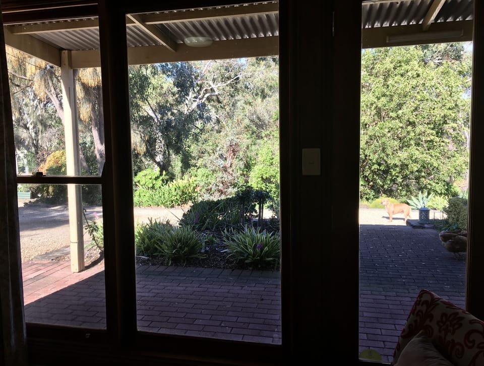 View from lounge
