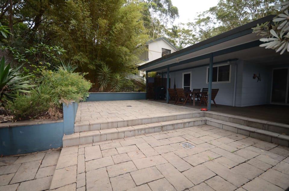 Backyard 01