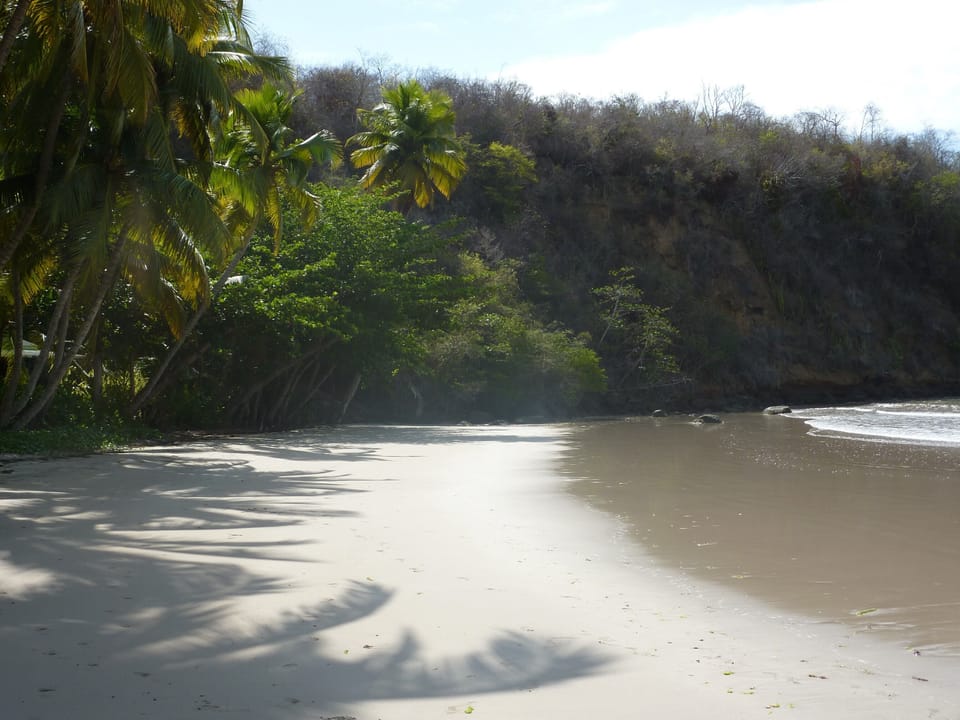 La Sagesse Bay